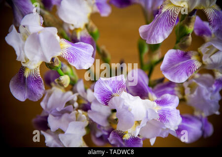 Bouquet von schönen Blumen Iris auf hölzernen Hintergrund isoliert Stockfoto