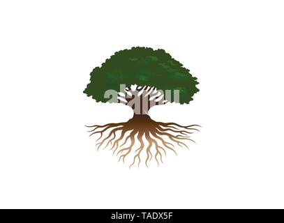 Kreative Baumwurzeln Logo Stock Vektor