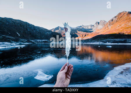 Norwegen, Lofoten, Hand des Menschen Holding gefroren Feder Stockfoto