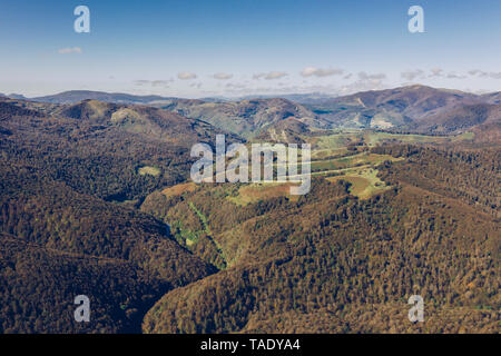 Spanien, Navarra, Wald von Irati, Scenic Stockfoto