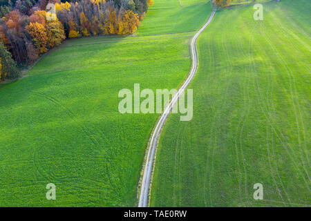 Deutschland, Bayern, Icking, Feldweg und Wiesen, Luftaufnahme Stockfoto