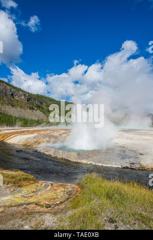 USA, Wyoming, Yellowstone National Park, Cliff Geysir Ausbruch im schwarzen Sand Becken Stockfoto