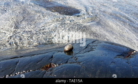 Die talisker Strand ist in der Nähe des Dorfes Carbost auf der Isle of Skye Stockfoto