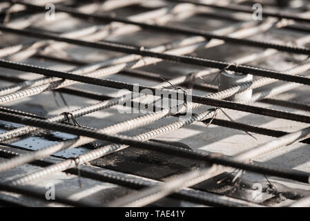 Mit Draht aus Stahl für die Befestigung der Stahlstab mit Draht zur Verstärkung der Betonplatte oder Focus, um Draht aus Stahl. Stockfoto