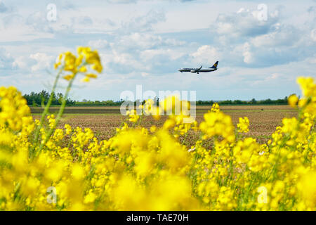 Otopeni, Bukarest, Rumänien - Mai 01, 2019: Ryanair Flugzeug Landung auf dem internationalen Flughafen Henri Coanda, wie sich aus einem Raps Feld in Pipera ne gesehen Stockfoto