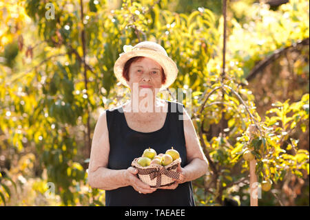 Lächelnd senior Frau 60-70 Jahre alten Holding Korb mit grüne Äpfel im Garten. Mit Blick auf die Kamera. Frühjahr ernten. Stockfoto