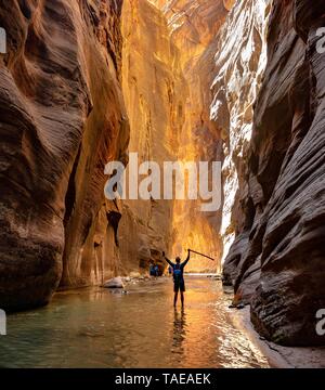 Wanderer Spaziergänge in der Wasser- und streckt die Arme in die Luft, die Narrows, enge Stelle des Virgin Flusses, steilen Wände der Zion Canyon, Zion Stockfoto