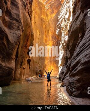 Wanderer Spaziergänge in der Wasser- und streckt die Arme in die Luft, die Narrows, enge Stelle des Virgin Flusses, steilen Wände der Zion Canyon, Zion Stockfoto