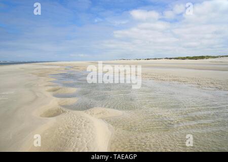 Strand bei Ebbe, Gruben, gefüllt mit Wasser, Sand, Welligkeit, Wangerooge, Ostfriesische Inseln, Nordsee, Niedersachsen, Deutschland Stockfoto