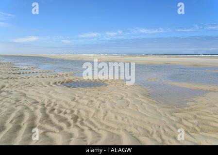 Strand bei Ebbe, Gruben, gefüllt mit Wasser, Sand, Welligkeit, Wangerooge, Ostfriesische Inseln, Nordsee, Niedersachsen, Deutschland Stockfoto