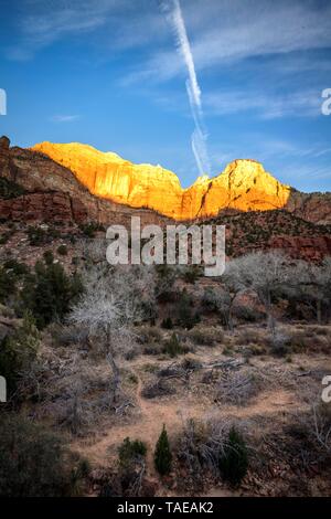 Berg der Sentinel wird von der Morgensonne, sunrise beleuchtet, Zion Canyon, Canyon Junction Brücke, Zion National Park, Utah, USA Stockfoto