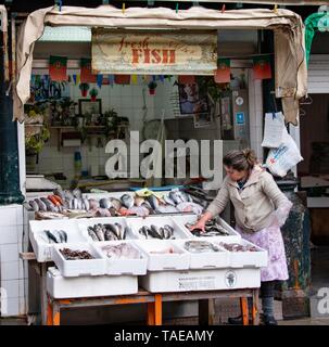 Fisch stehen, Seefisch, Mercado de Bolhao, Porto, Portugal Stockfoto