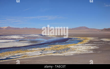 Chilenische Flamingos und die schönen Landschaften der Laguna Colorada, Salar de Uyuni, Bolivien Stockfoto