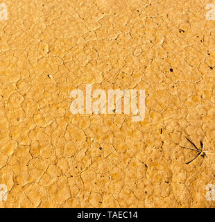 Rissige Erde in der Sahara, Afrika, riss die Böden, auf trockene Jahreszeit, globale Erwärmung. Stockfoto