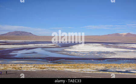 Chilenische Flamingos und die schönen Landschaften der Laguna Colorada, Salar de Uyuni, Bolivien Stockfoto