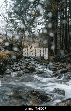 Glendalough, Wicklow Stockfoto