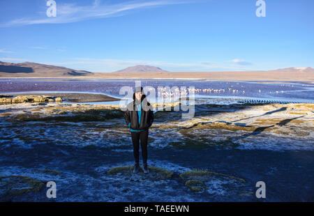 Chilenische Flamingos an der Laguna Colorada, Salar de Uyuni, Bolivien Stockfoto