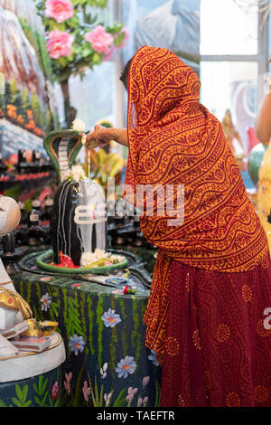 Ein frommer Hindu Frau in einem bunten Sari gießt Milch über einen Shiva Lingam an einem Hindu Tempel in Jamaica, Queens, New York. Stockfoto