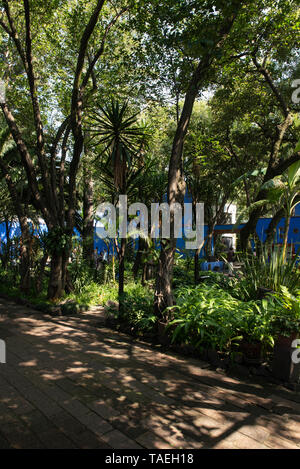 Frida Kahlo (1907-1954) Haus in Coyoacan, Mexiko City, Mexiko. Sie wurde in diesem Haus geboren, die meisten ihres Lebens verbracht und dort starb. Stockfoto