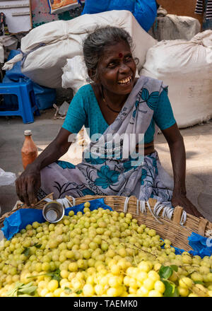 Vertikale Bildnis einer Dame verkaufen jujubes in Indien. Stockfoto