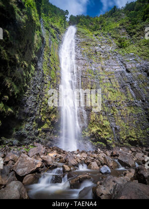 Waimoku fällt, ist am Ende der Pipiwai Trail Wanderung in Maui, Hawaii, USA. Einen schönen Wasserfall am Ende eine atemberaubende Wanderung. Stockfoto