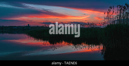 Ein schönes helles Frühjahr Sonnenuntergang über dem See. Zuckerrohr Vegetation auf dem See Wasser. Rot hervorgehoben Wolken Reflexion. Kriviy Rih, Ukraine Stockfoto