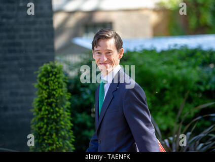 Rory Stewart, Minister für Internationale Entwicklung, kommt für eine Sitzung. Er ist einer der Kämpfer der neue Führer zu sein. Stockfoto