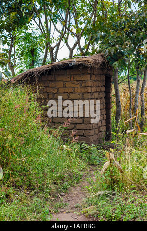 Ein traditionell konstruierten Latrine aus Lehm Ziegeln und Mörtel unter einem Grasdach in einem Dorf in Malawi Stockfoto