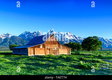 Eine alte Scheune entlang der Mormonen Zeile mit der Grand Tetons im Hintergrund in der Nähe von Jackson Hole, Wyoming USA. Stockfoto