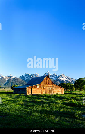 Eine alte Scheune entlang der Mormonen Zeile mit der Grand Tetons im Hintergrund in der Nähe von Jackson Hole, Wyoming USA. Stockfoto