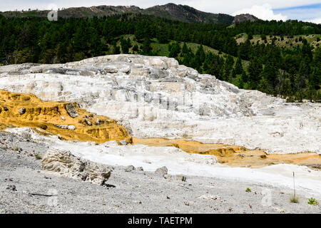 Kalkstein Felsformationen in Mammoth Hot Springs, Yellowstone National Park in Wyoming, USA. Stockfoto