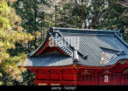 Nikko, in Japan in der Präfektur Tochigi in Japan mit niemand in grünen Pinienwald und roten Schrein mit traditionellen Dach Stockfoto