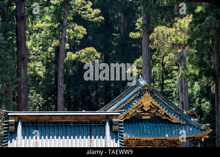 Nikko, Japan Toshogu Schrein Tempel Dach Architektur in der Präfektur Tochigi im Frühjahr und Bäume im Wald Stockfoto