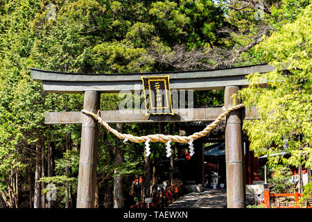 Nikko, Japan - April 5, 2019: Futarason Tempel shrine torii Tor in der Präfektur Tochigi im Frühjahr Eingang Stockfoto