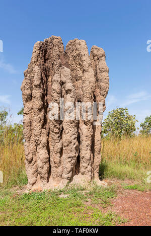 Monumentale termite Damm in Kakadu National Park, Northern Australien, an einem sonnigen Tag Stockfoto