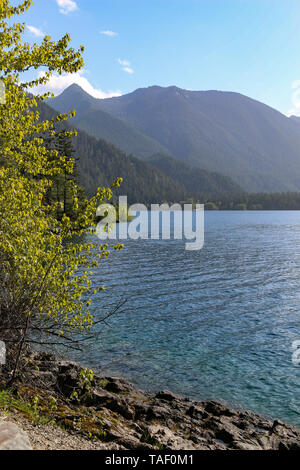 Lake Crescent, Olympic Nationalpark, Washington Stockfoto