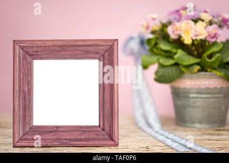 Einen rosafarbenen Holzrahmen mit einem weißen Inhalt dient als Mock up für Ihre eigenen Gestaltungsideen. Im Hintergrund, Primeln sind Frühling Blumen in einen Topf mit Zi Stockfoto