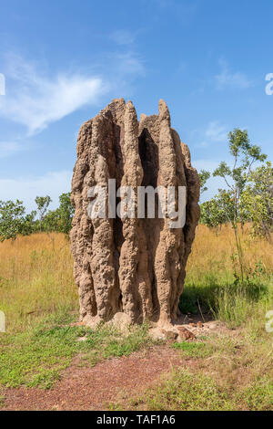 Monumentale termite Damm in Kakadu National Park, Northern Australien, an einem sonnigen Tag Stockfoto