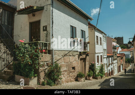 Fassade alte Häuser mit blühenden Topfpflanzen und menschenleere Gasse am Hang in Belmonte. Geburtsort des Entdeckers Pedro CABRAL in Portugal. Stockfoto