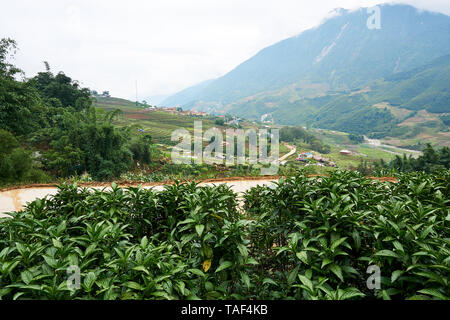 Fogy Landschaft der Reisfelder in Lao chai Sapa Tal in Vietnam. Sapa, Vietnam. - 22. Mai. 2019 Stockfoto