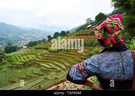 Fogy Landschaft der Reisfelder in Lao chai Sapa Tal in Vietnam. Sapa, Vietnam. - 22. Mai. 2019 Stockfoto