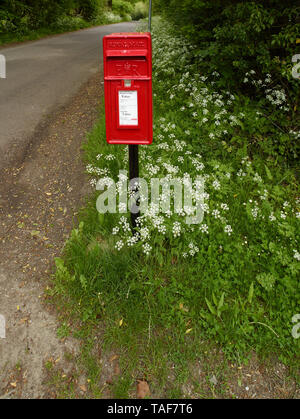 Ländliche Post Box und Kuh Petersilie auf der Straße in die Landschaft von Kent, England, Vereinigtes Königreich, Europa Stockfoto