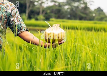 Mann mit Kokosnuss Drink mit Stroh in der Hand an tropischen Reisfeld Stockfoto