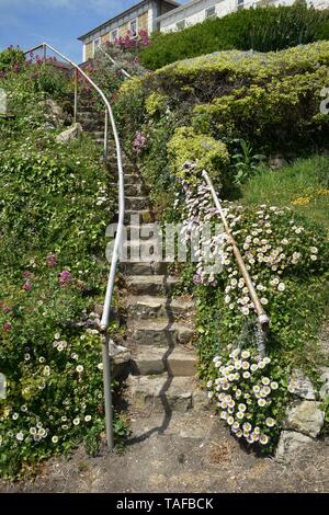 Treppe und Gärten, Ventnor Esplanade, Isle of Wight, Großbritannien, Stockfoto