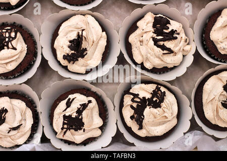 Schöne Schokolade Sahne cupcakes in ein weißes Kästchen mit einem Seil an einem konkreten Hintergrund gebunden Stockfoto
