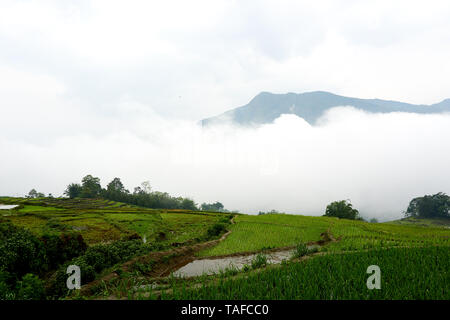 Fogy Landschaft der Reisfelder in Lao chai Sapa Tal in Vietnam. Sapa, Vietnam. - 22. Mai. 2019 Stockfoto