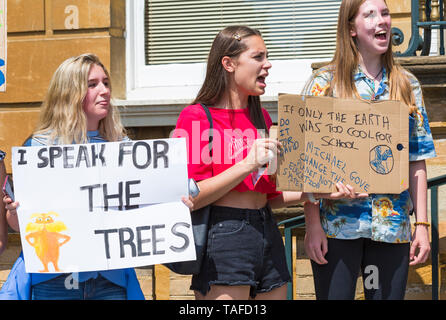 Bournemouth, Dorset, Großbritannien. 24. Mai 2019. Jugend Streik 4 Klima versammeln sich in Bournemouth Platz mit ihren Meldungen über den Klimawandel, vor dem Marsch zum Rathaus, wo es einen langen Brief auf Tapeten Rollen von Unterstützern unterzeichnet von Simon Bull. empfangen Wenn nur die Erde auch für die Schule cool war, Michael Gove, dem Planeten nicht Bildungssystem ändern, ich spreche für die Bäume. Credit: Carolyn Jenkins/Alamy leben Nachrichten Stockfoto