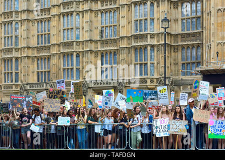 London, Großbritannien. 25. Mai 2019. Massen von Schülern surround College Green, Westminster, ihre Ansichten zu Medien der Welt während der Freitag gehört für das zukünftige Klima Streik zu machen, London Quelle: PjrFoto/Alamy leben Nachrichten Stockfoto