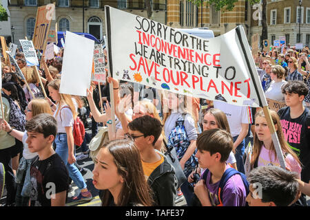 Westminster, London, Großbritannien, 24. Mai 2019. Die jungen Demonstranten März entlang Parliament Square. Tausende von jungen Menschen, einige mit ihren Eltern noch einmal auf die Straßen von Westminster, gegen die Auswirkungen des Klimawandels und Umweltprobleme zu protestieren, sowie Untätigkeit der Regierungen. Protest Websites gehören Parliament Square, Whitehall und Trafalgar Square in London und vielen anderen Städten in Großbritannien und weltweit. Credit: Imageplotter/Alamy leben Nachrichten Stockfoto