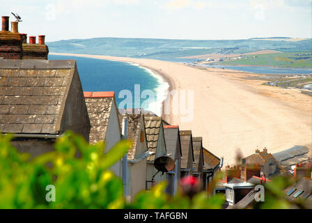 Portland. 24. Mai 2019. Starke Sonneneinstrahlung auf der Isle of Portland wäscht über Cottages mit Blick auf Chesil Beach. Credit: stuart Hartmut Ost/Alamy leben Nachrichten Stockfoto